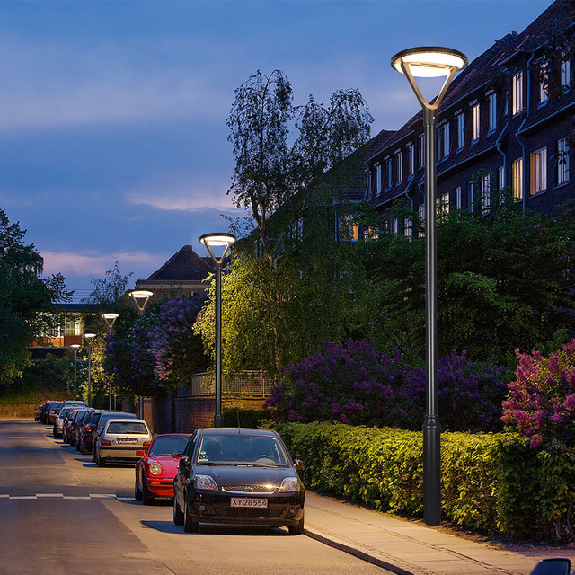 Fabricante de luz LED h&iacute;brida solar e CA para jardim para projetos externos SL-102